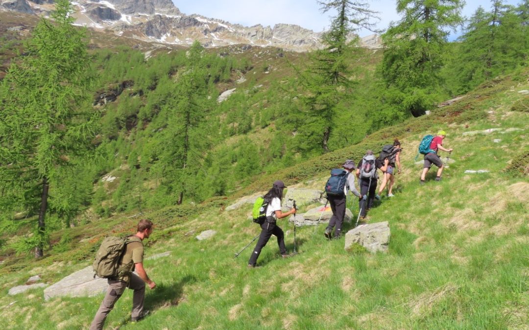 Pubblicato il calendario delle attività 2026 – Save the dates